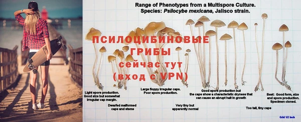 jwh Балахна